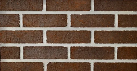 218 - Brown Through Body Wire Cut Smooth material sample