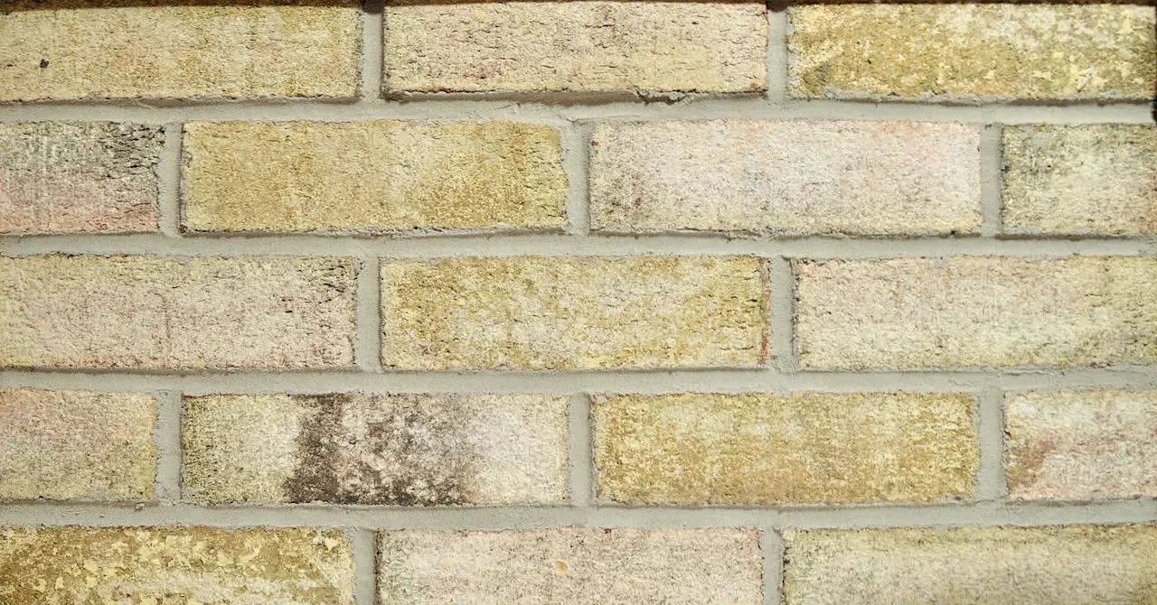 451 - Old Georgetown — 451 - Old Georgetown — Material sample