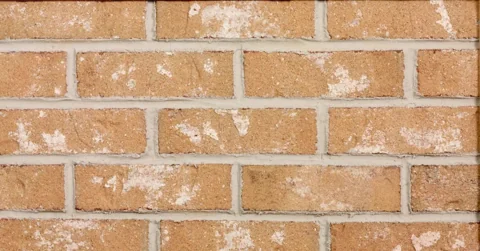 496 - Antique Buff material sample
