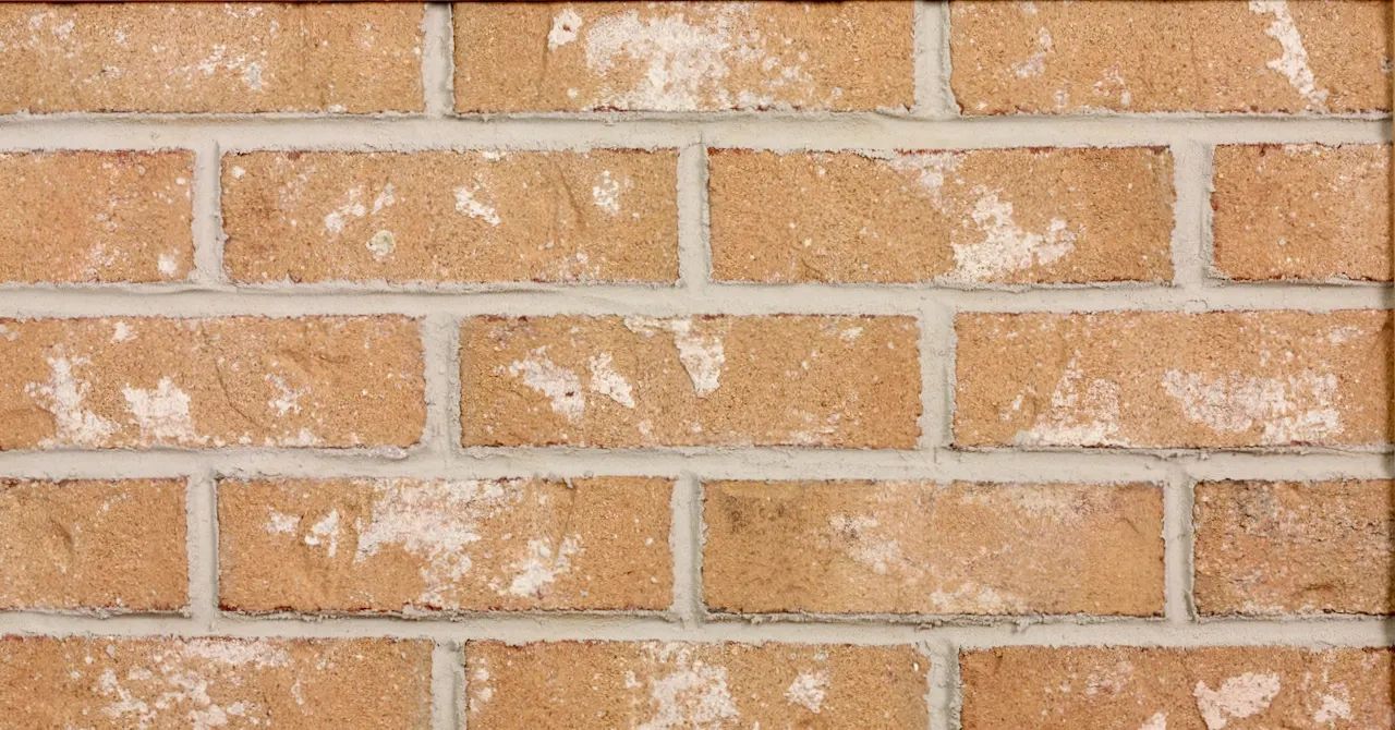 496 - Antique Buff — 496 - Antique Buff — Material sample