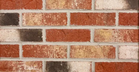 A40X - Old Martinsburg material sample