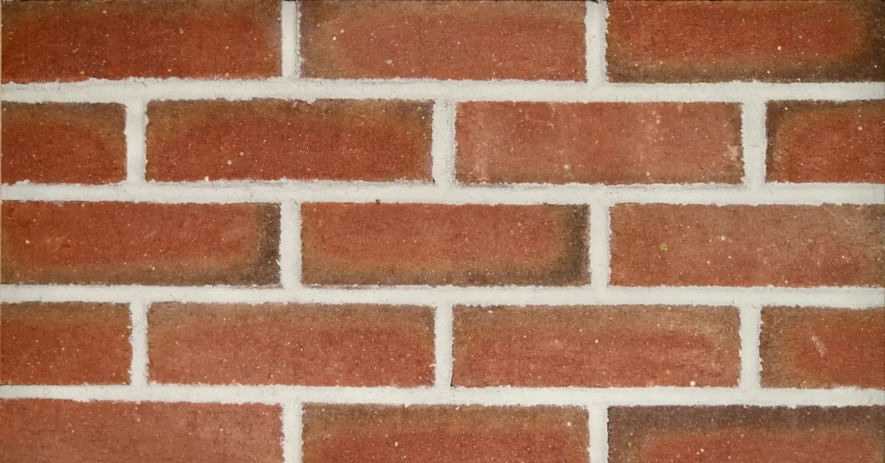 Poplar Forest — Poplar Forest — Material sample