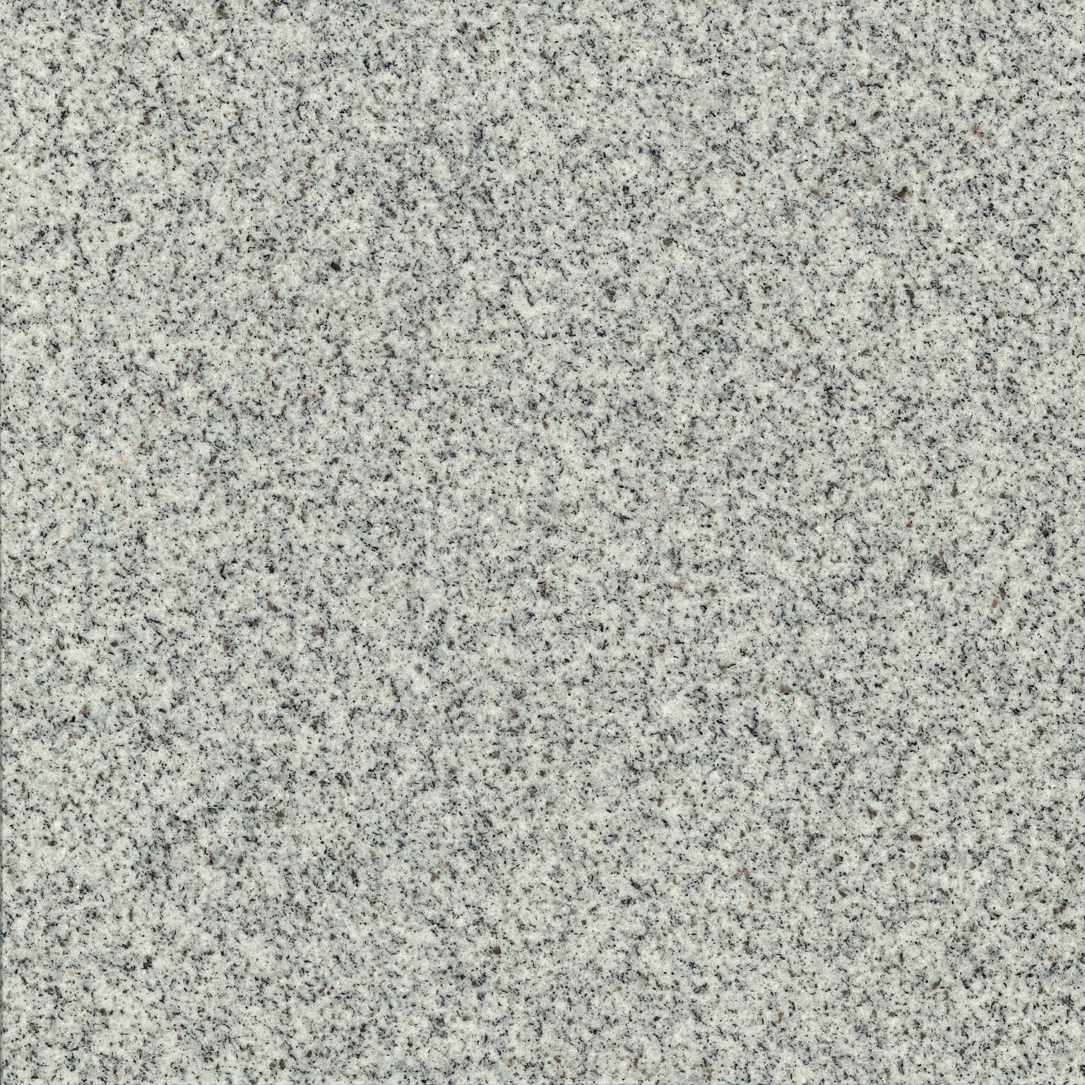 Jay White — Polished finish reference