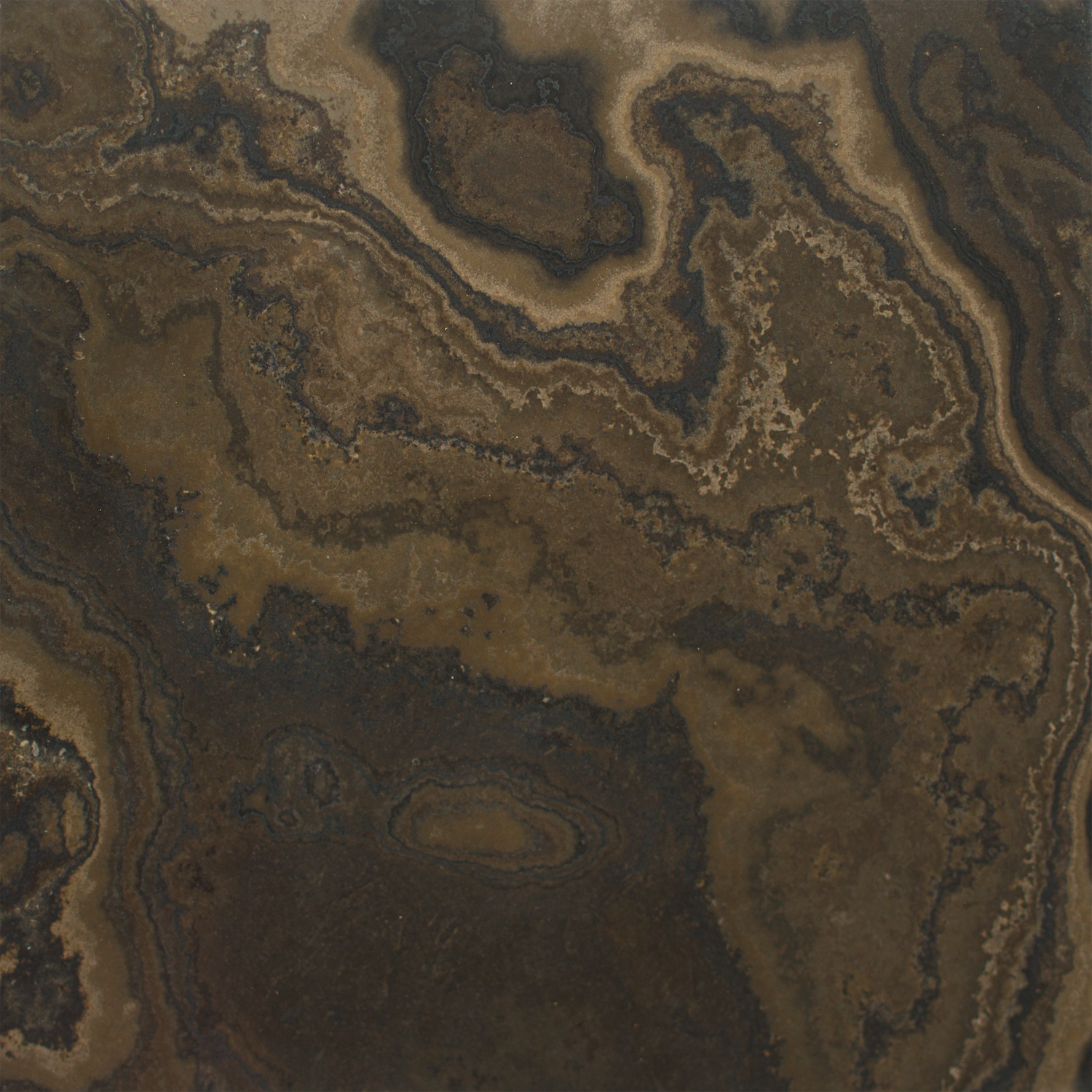 Eramosa Fleuri — Polished finish reference