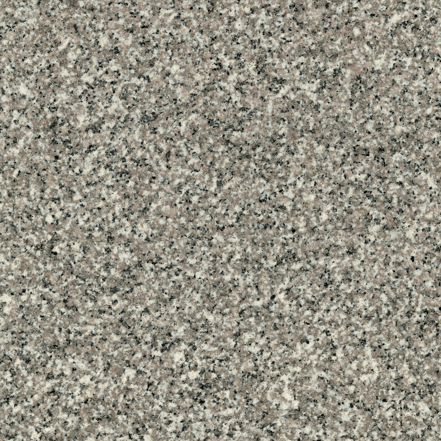Saint Sebastien — Polished finish reference