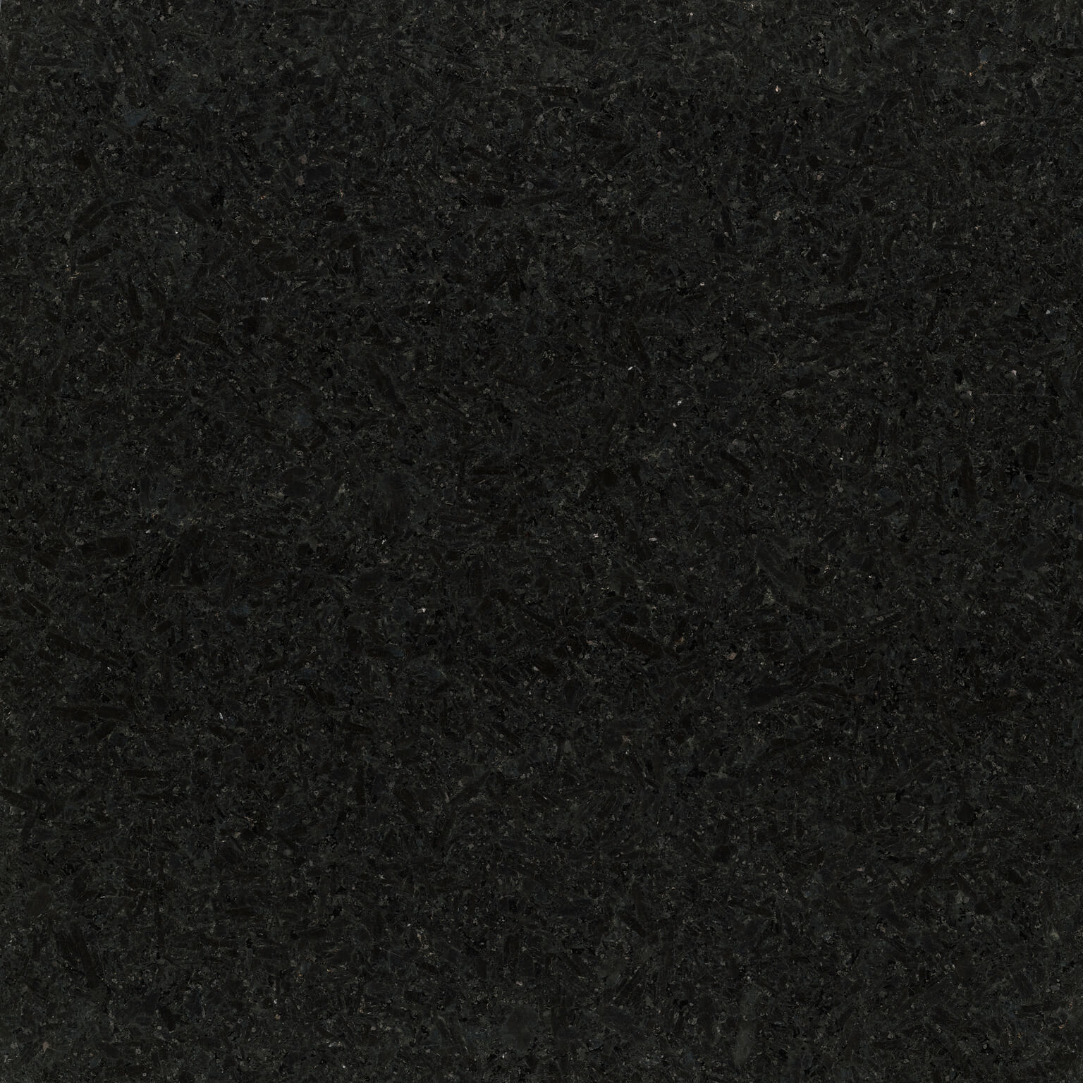 Cambrian Black — Polished finish reference