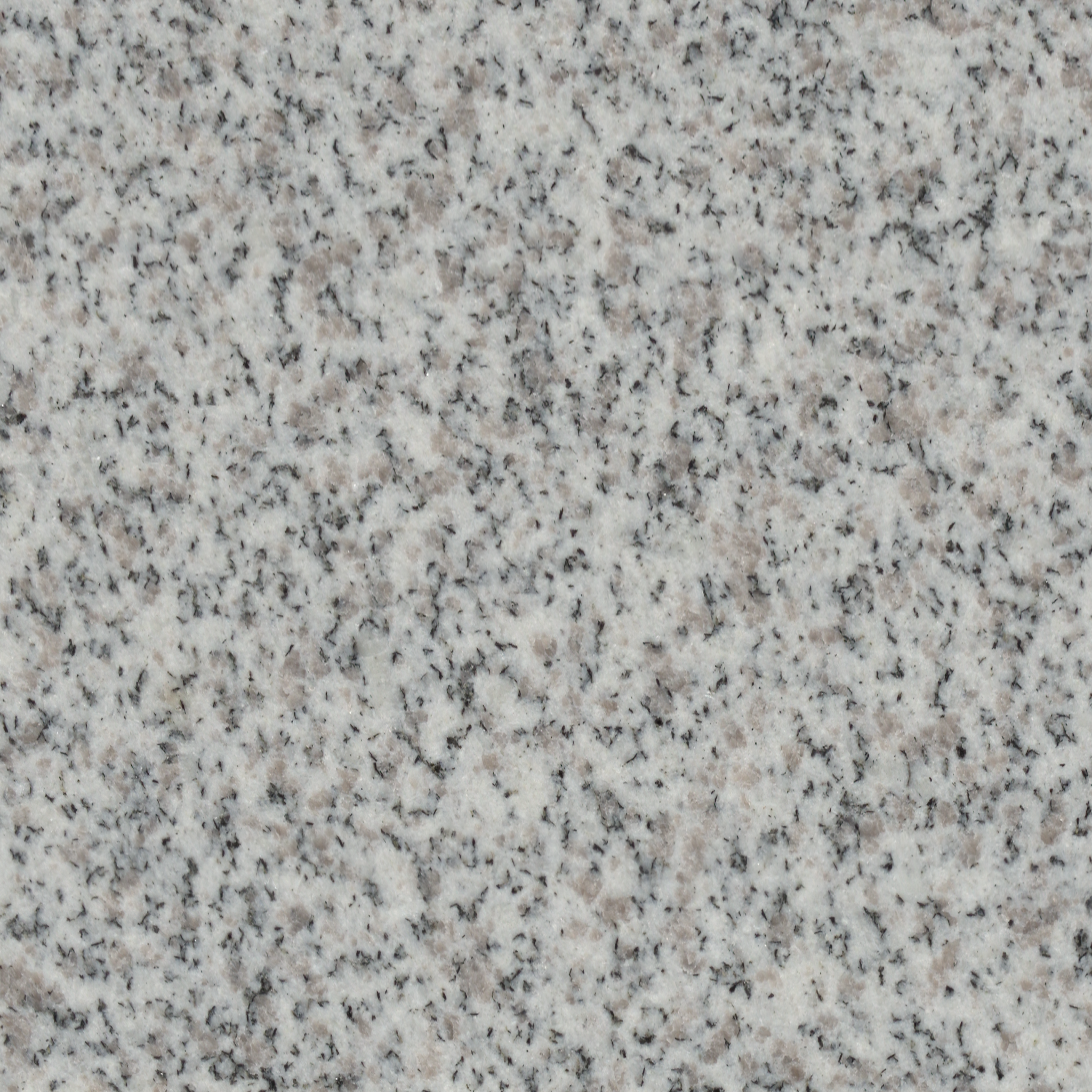 White Mount Airy Granite — Honed finish reference