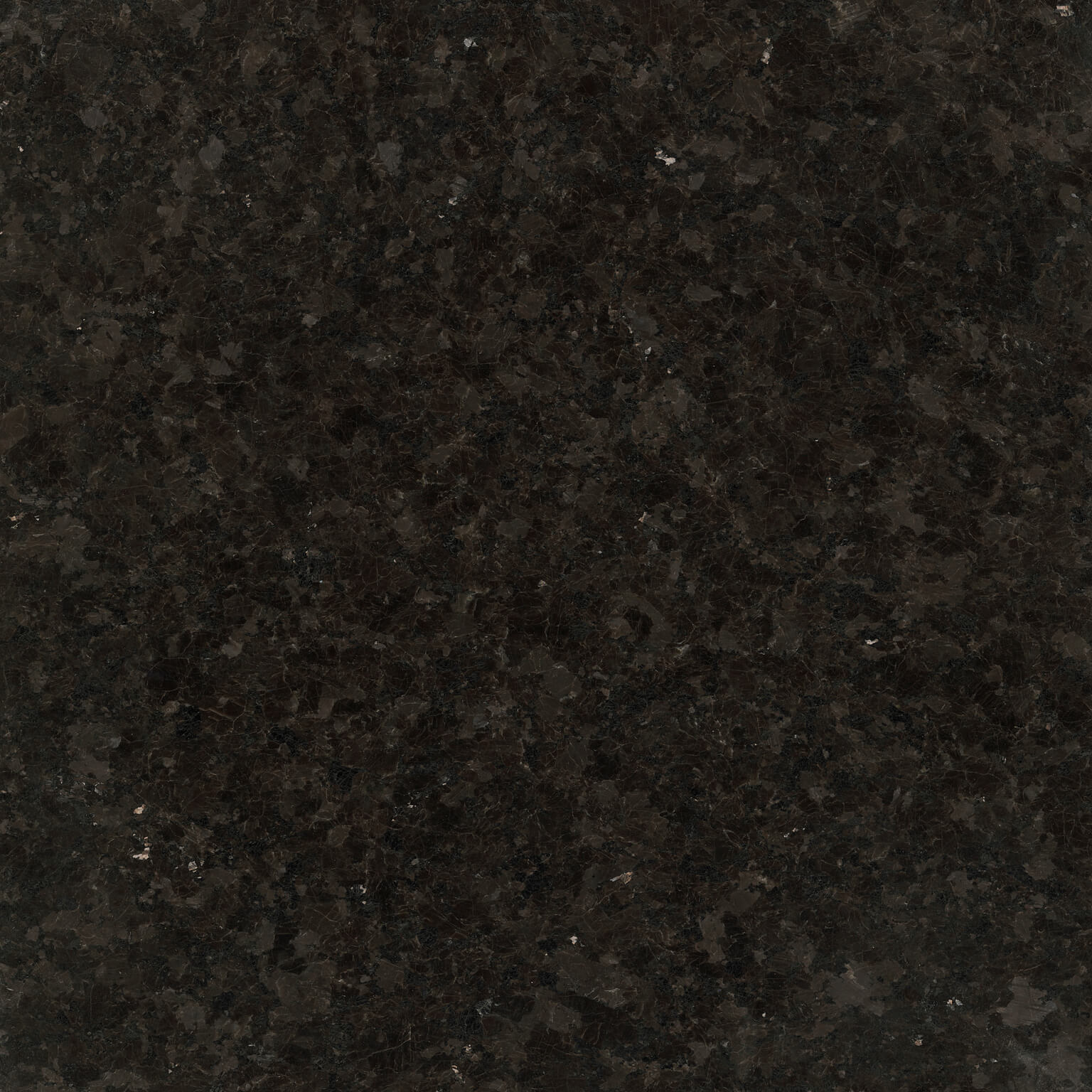 Kodiak Brown — Polished finish reference