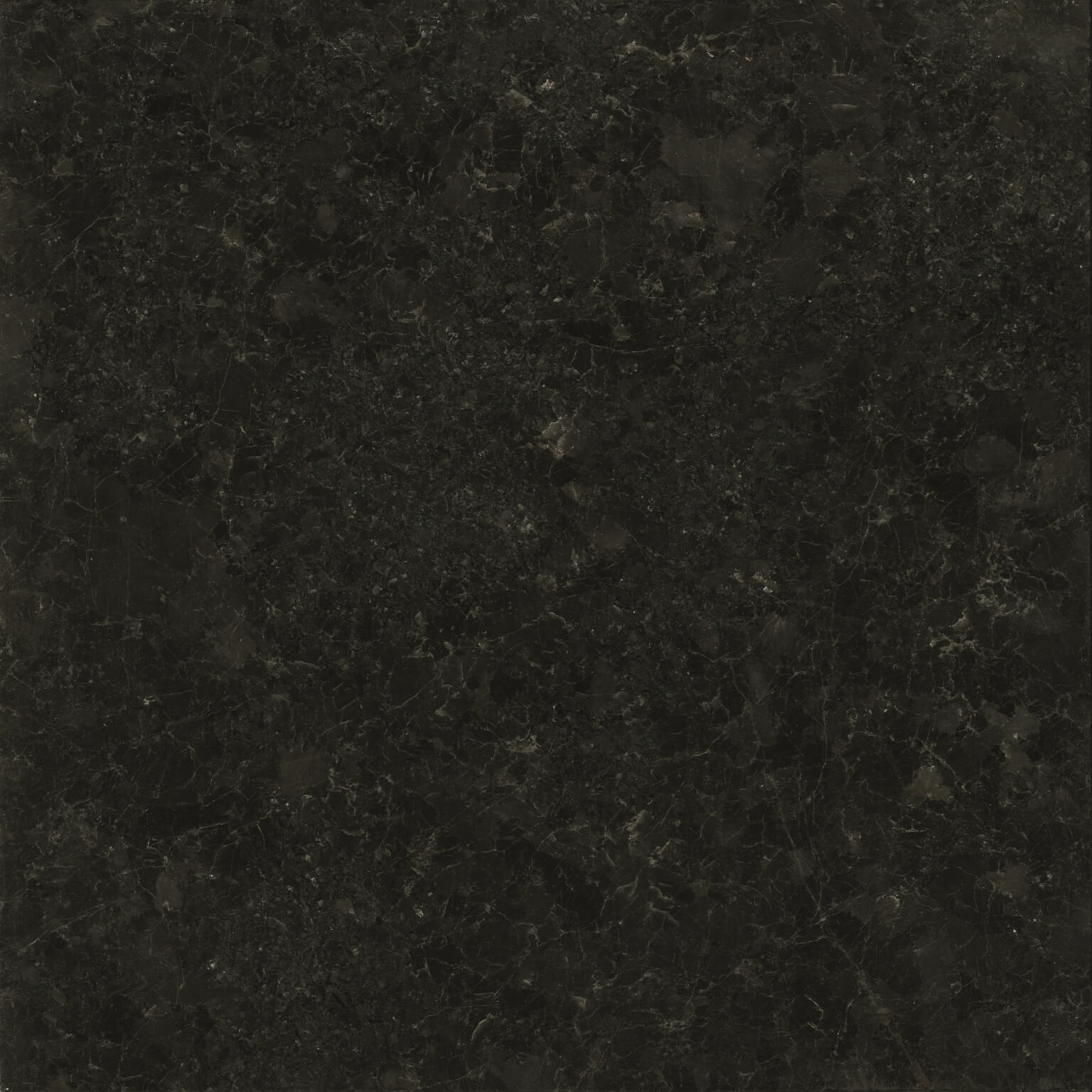 Saint Henry Black — Polished finish reference