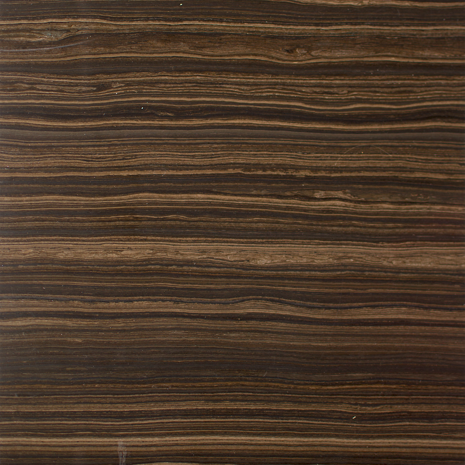 Eramosa Linear — Polished finish reference