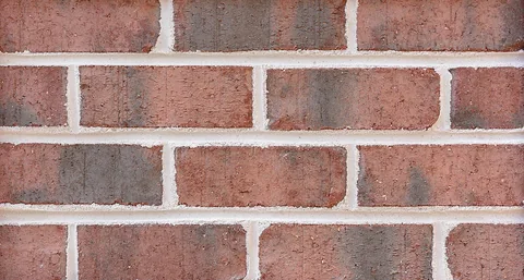 Mission Rose material sample
