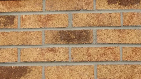 Carolina Blend material sample
