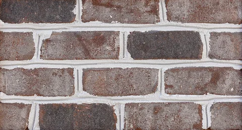 Charleston Harbor material sample
