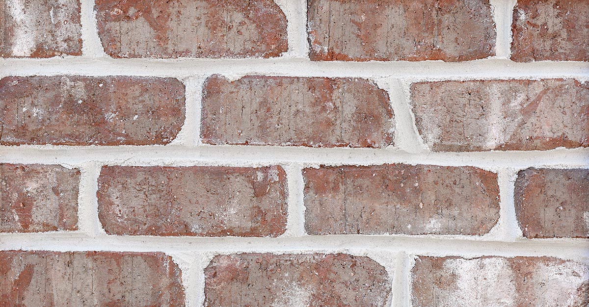 Ashwood — full-brick color reference; thin brick made to order